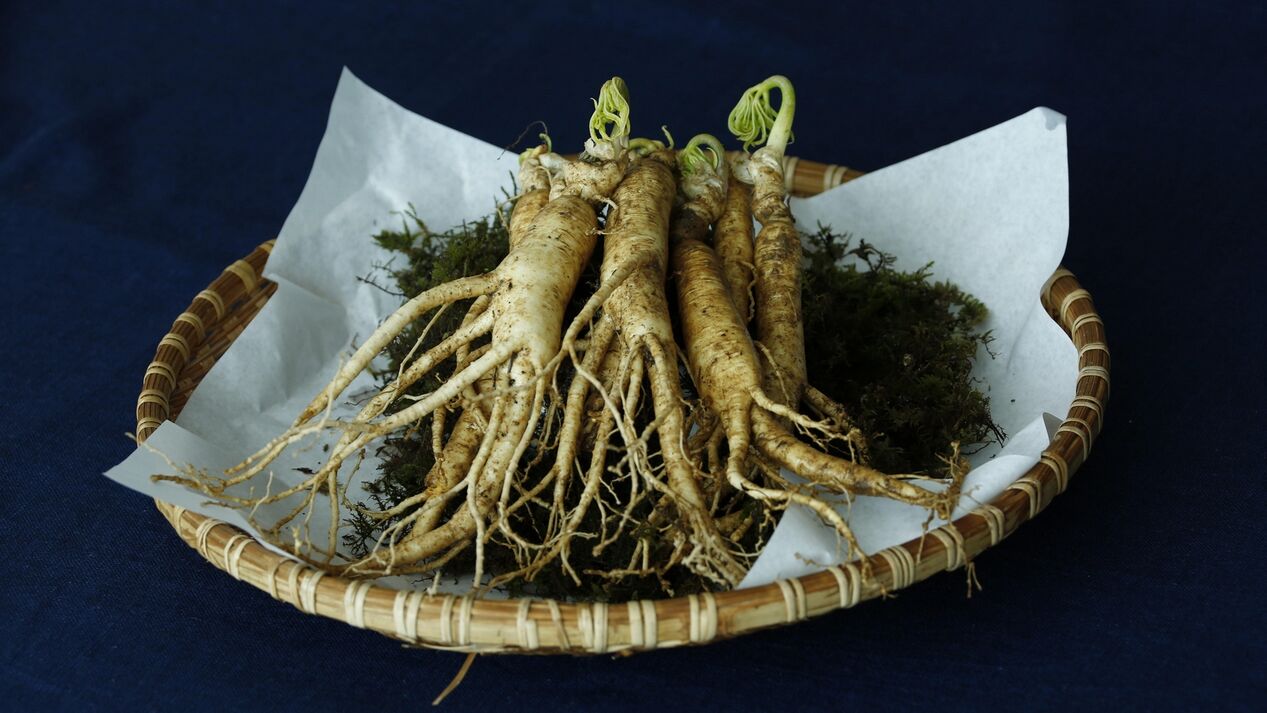 Ginseng root for potency