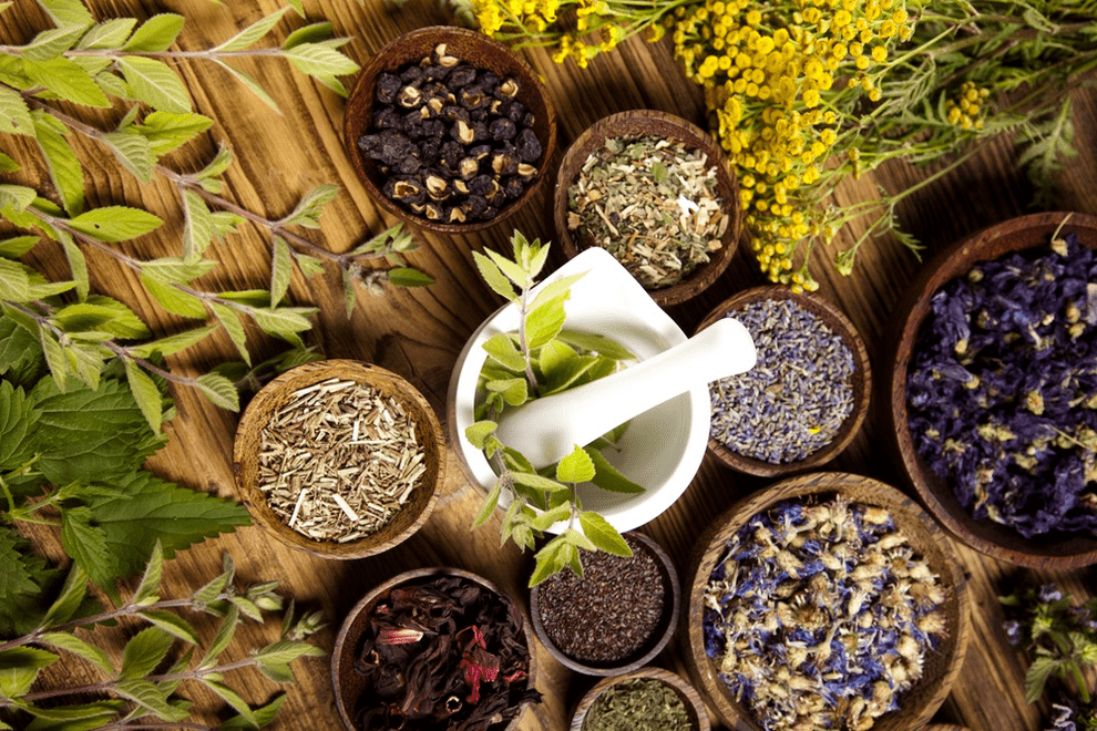 Medicinal herbs for potency